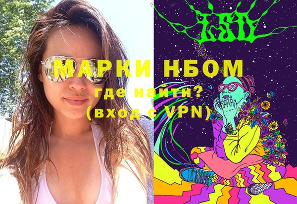шишки Белоозёрский