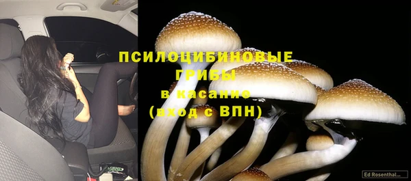 гашишное масло Белокуриха