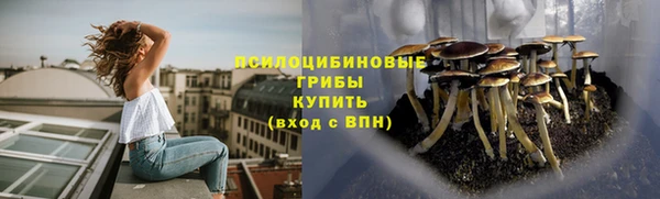 стаф Беломорск