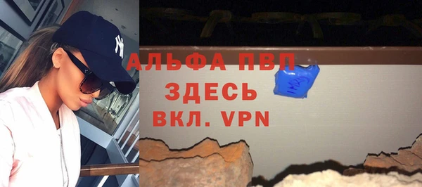 шишки Белоозёрский