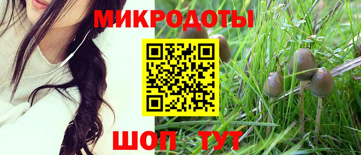 Галлюциногенные грибы ЛСД Кировск