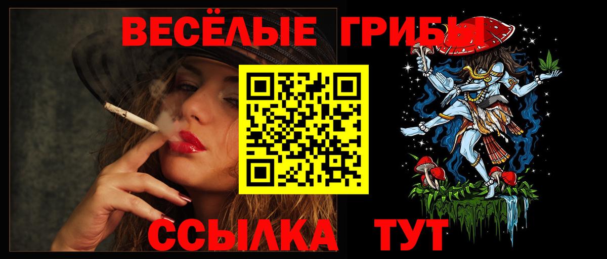Кировск  Галлюциногенные грибы мухоморы  Вход с VPN  Псилоцибиновые грибы GOLDEN TEACHER 