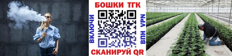 мега зеркало Кировск Каннабис Amnesia купить наркотики цена